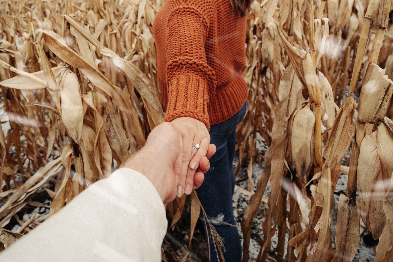 A man grabs his fiancee’s hand as they walk through a cornfield.