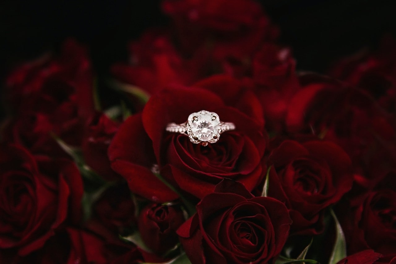 a halo engagement ring with a round cut center stone sitting in a bouquet of roses