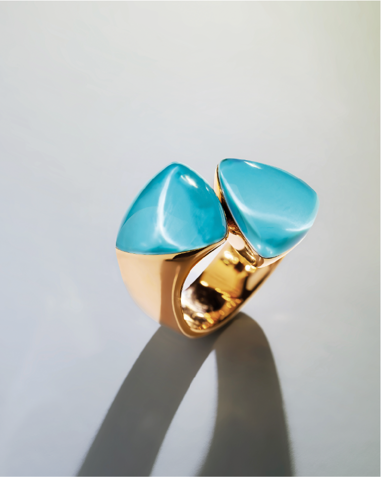 Vhernier ring banner